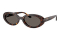 Ray-Ban RB2223 – Havana com Lente cinzento escuro (902/B1) Tamanho 54